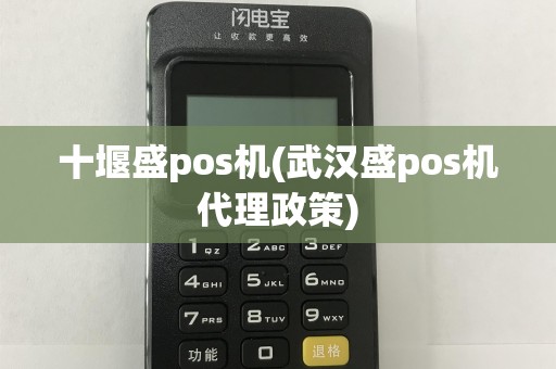 十堰盛pos机(武汉盛pos机代理政策)  第1张